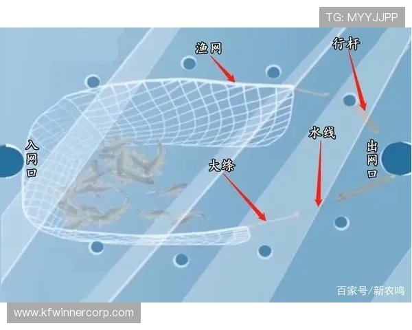 提升捕鱼技巧在K8捕鱼网中轻松击败对手的实用策略